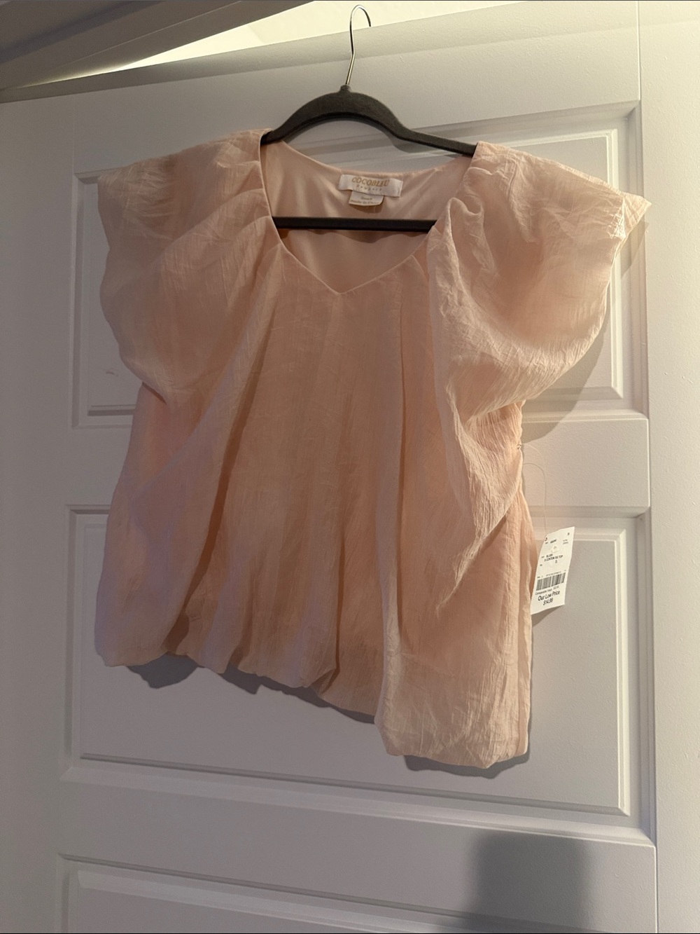 Light Pink V-Neck Flutter Sleeve Blouse
